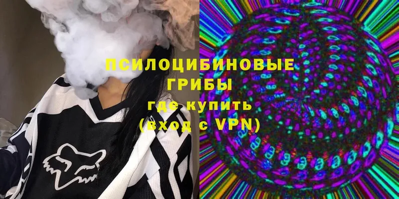 Псилоцибиновые грибы Cubensis  как найти закладки  Красный Холм 